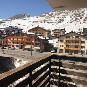 Deer , Passo del Tonale Italia